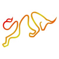 Kangayaa Software Solutions (India) Pvt Ltd logo - Similar company to Microgen Software Solutions