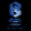 Binary Vision logo - Similar company to E2E Test Company
