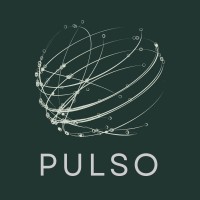 Pulso Investimento em Startups logo - Similar company to Lourenço Borges Saúde I Lbs