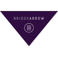 Bridge Arrow logo - Similar company to Datamade