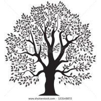 Oak Hill Technology Partners, LLC logo - Similar company to Oak Hill Technology, Inc.