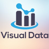 Visual Data Consultora logo - Similar company to Assector