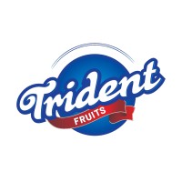 Trident Fruits Official logo - Similar company to Faina Universal Co.