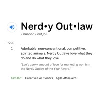 Nerdy Outlaws