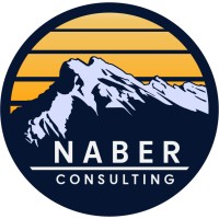 Naber Consulting logo - Similar company to Quantum Critical Metals Corp.