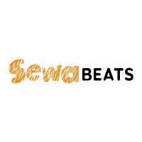 Sewa Beats logo - Similar company to Avld Events, Inc