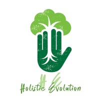 Holistic Evolution Inc logo - Similar company to R1 Learning