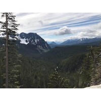 Washington Osteopathic Medical Association