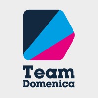 Team Domenica logo - Similar company to Underground Lights