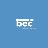 Bandi Europei Consulting logo - Similar company to Naxta
