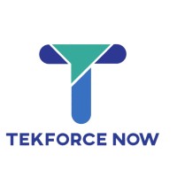 TekforceNow logo - Similar company to Tekforce Inc