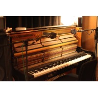 Narcissus Music Ltd