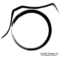 Double Dragon Inc. logo - Similar company to Double Dragonparis