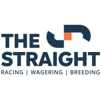 The Straight logo - Similar company to Punterstech