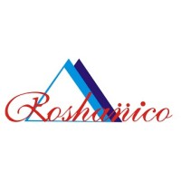 Roshanico logo - Similar company to Medsecure Solutions