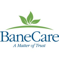 BaneCare Management logo - Similar company to Evolved Mechanical Llc