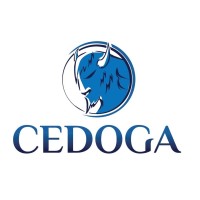 Cedoga Consulting