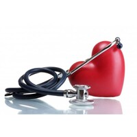 Bruen Medical Partners, LLC logo - Similar company to Hollenbeck Palms