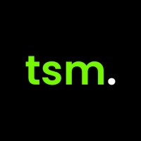 tsm. logo - Similar company to Cybergys Technologies