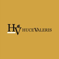 Huce Valeris logo - Similar company to Learnark
