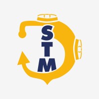STM Profesionales logo - Similar company to Svo Spa
