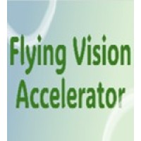 Flying Vision Accelerator - Luchtvaart in Transitie logo - Similar company to Jomec