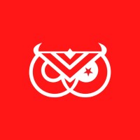 The Night Owl Workshop logo - Similar company to The Klein Group Ltd.