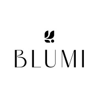 BLUMI logo - Similar company to Restathome.Pl