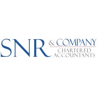 SNR & Company logo - Similar company to Dhruv Dua And Co