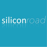 Silicon Road logo - Similar company to Alisio Capital Partners