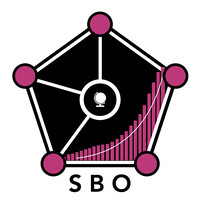 The Strategy & Business Operations Hub logo - Similar company to Soniza