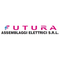 Futura Assemblaggi Elettrici Srl logo - Similar company to Pellizzari Impianti, Domotica,Videocontrollo, Bandit Nebbiogeno, Assemblaggi Conto Terzi
