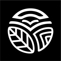 The Coconut Studio logo - Similar company to ID Studio