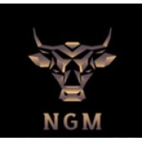 NEXT GEN MARKETING logo - Similar company to Busstim, Llc