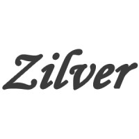 Zilver bijles en onderwijsadvies logo - Similar company to Snelvoordeklas