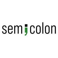 Semicolon logo - Similar company to Cayeit® - Centre For Ayurveda Education, Innovation & Technology®