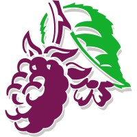Blackberry Clinic logo - Similar company to Mytime Active