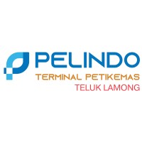 PT Terminal Teluk Lamong logo - Similar company to Droneone Kft.