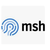 MSH BUSINESS CONSULTING PRIVATE LIMITED logo - Similar company to Virtueworks