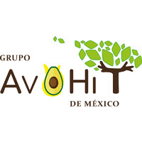 Grupo Avohit de México logo - Similar company to Avoworks