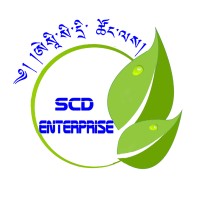 SCD Enterprise logo - Similar company to K2A It Solutions Cambodia
