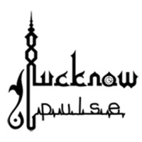 Lucknow Pulse logo - Similar company to Sun Services Lucknow