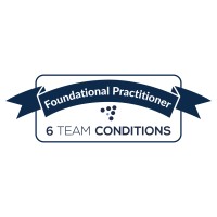 Team Diagnostic Survey Level 1 logo - Similar company to Stcoaching