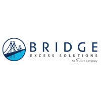 Bridge Excess Solutions logo - Similar company to Coefficient Underwriters, Inc.