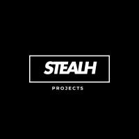 Stealth Projects logo - Similar company to Stealth Projects Ltd.