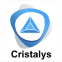 Cristalys logo - Similar company to Trim_Translate Into Meaning