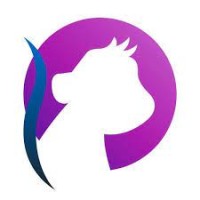 6Biz Academy logo - Similar company to Brontobyte Analytics
