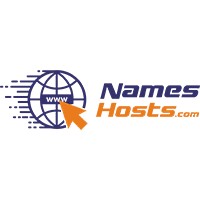 NAMESHOSTS logo - Similar company to Smoothtech Digital