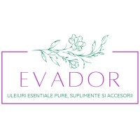 EVADOR CONSULTING logo - Similar company to Fundația Dicor Academy