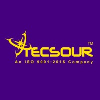 Tecsour- Digital Marketing & Animation Company logo - Similar company to Wordapter Content Marketing Services